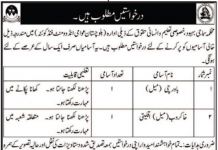 Jobs in Social Welfare & Special Education Department in Quetta Balochistan 2021