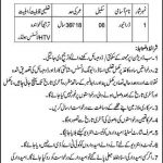 Jobs in Tehsil Municipal Administration TMA Driver 2021