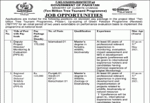 Jobs in Ten Billion Tree Tsunami Program in Islamabad 2021