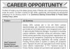 Jobs in The Bank of Punjab BOP For Lahore 2021