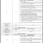 Jobs in The Islamia University of Bahawalpur 2021