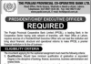 Jobs in The Punjab Provincial Co Operative Bank Limited Lahore 2021