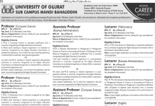 Jobs in University of Gujrat Sub Campus Mandi Bahauddin Faculty 2021
