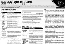 Jobs in University of Gujrat UOG in Hafiz Hayat Campus 2021