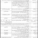 Jobs in World Bank Funded Project in Karachi 2021