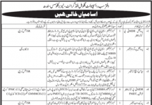 Jobs in World Bank Funded Project in Karachi 2021