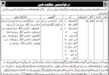 Jobs in Agriculture Department For Field Assistants 2021