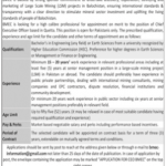 Jobs in Balochistan Mineral Exploration Company CEO 2021