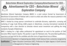 Jobs in Balochistan Mineral Exploration Company CEO 2021
