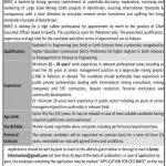 Jobs in Balochistan Mineral Exploration Company For Chief Executive Officer CEO 2021