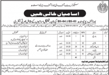 Jobs in Board of Revenue For Non Technical Staff in Karachi 2021