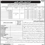 Jobs in Board of Revenue For Non Technical Staff in Khairpur 2021