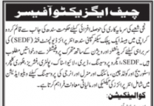 Jobs in Chief Executive Officer CEO in Karachi 2021