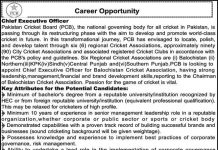 Jobs in Chief Executive Officer CEO in Lahore 2021