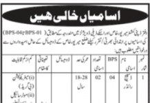Jobs in Deputy Commissioner District Office in Mirpur Khas 2021