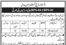 Jobs in Deputy Commissioner District Office in Sujawal 2021