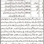 Jobs in District & Session Judge Office in Killa Saifullah 2021