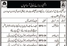 Jobs in District & Session Judge Office in Killa Saifullah 2021