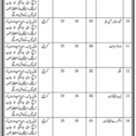 Jobs in Doctors Ruth KM Pfau Civil Hospital 2021