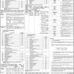 Jobs in Government College Women University Faisalabad For Teaching & Non Teaching Staff 2021