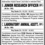 Jobs in International Center For Chemical & Biological Sciences in Karachi 2021