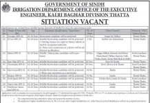 Jobs in Irrigation Department Thatta 2021