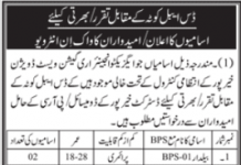 Jobs in Irrigation Division Walk In Interviews in Khairpur 2021