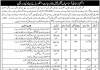 Jobs in Jail Department in Bahawalpur Region 2021