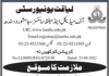 Jobs in Liaquat University of Medical & Health Sciences LUMHS in Jamshoro 2021