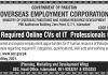 Jobs in Overseas Employment Corporation OEC for IT Professionals