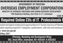 Jobs in Overseas Employment Corporation OEC for IT Professionals