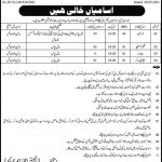 Jobs in Provincial Buildings Division For Miscellaneous Staff in Badin 2021