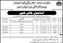 Jobs in Provincial Buildings Division For Miscellaneous Staff in Badin 2021