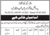 Jobs in Provincial Buildings Division in Shaheed Benazirabad 2021