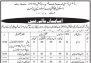Jobs in Provincial Institute of Teacher Education PITE 2021
