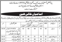 Jobs in Provincial Institute of Teacher Education PITE 2021