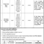 Jobs in Punjab Food Authority Walk In Interviews 2021