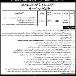 Jobs in Revenue Department For Patwari in Chakwal 2021