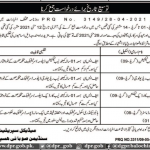Jobs in Sandeman Provincial Hospital in Quetta Balochistan 2021