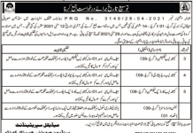 Jobs in Sandeman Provincial Hospital in Quetta Balochistan 2021