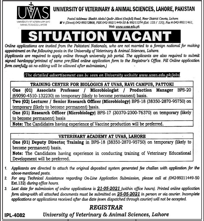 Jobs in University of Veterinary and Animal Sciences UVAS in Lahore &  Pattoki 2021 - Prepistan Jobs