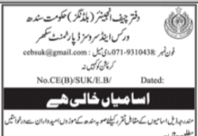 Jobs in Works & Services Department in Sukkur 2021