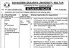 Jobs in Bahauddin Zakariya University BZU Multan 2021