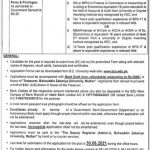 Jobs in Bahauddin Zakariya University BZU Multan 2021