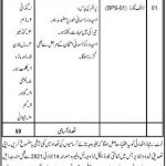Balochistan Coastal Development Authority BCDA Jobs 2021 In Lasbela & Gawadar