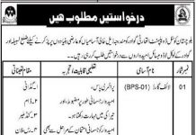 Balochistan Coastal Development Authority BCDA Jobs 2021 In Lasbela & Gawadar
