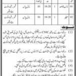 Jobs in Buildings Division For Miscellaneous Staff in Kamber Shahdadkot 2021