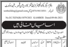 Jobs in Buildings Division For Miscellaneous Staff in Kamber Shahdadkot 2021