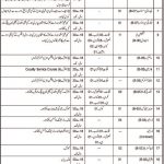 Jobs in Civil Defence Department in Quetta Balochistan 2021