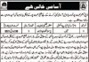 Jobs in Deputy Commissioner District Office In Sohbatpur Balochistan 2021